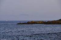 SRGB3160