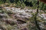 Nationalpark Gran Paradiso